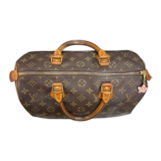 LOUIS VUITTON MonogramSpeedy 30 Bag Envy