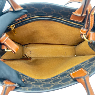 CELINE Triomphe Canvas Calfskin Small Vertical Cabas Celine